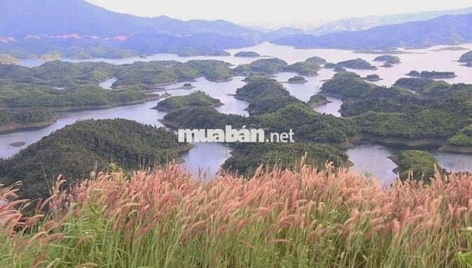 ĐẤT TRUNG TÂM TÀ ĐÙNG - 1.600M² - 200M² ĐẤT Ở - GIÁP ĐƯỜNG VEN HỒ