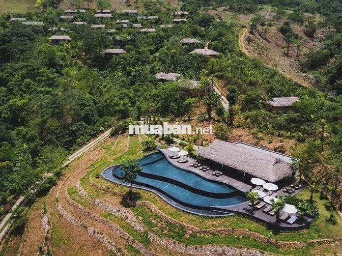 ĐẤT NHÀ VƯỜN NHÌN HỒ TÀ ĐÙNG - 816M² - 400M² ĐẤT Ở - 8.12 TỶ