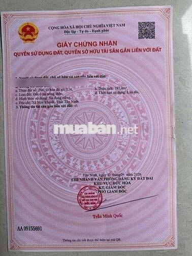 Cần Tiền Cho Con Du Học Bán Gấp Lô Đất Đẹp