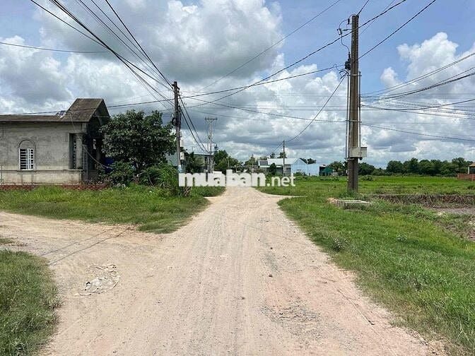Cần Tiền Cho Con Du Học Bán Gấp Lô Đất Đẹp