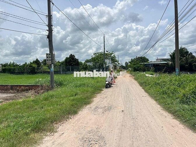 Cần Tiền Cho Con Du Học Bán Gấp Lô Đất Đẹp