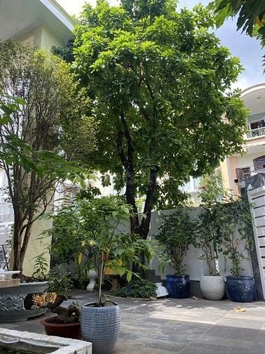 Biệt Thự Góc 2MT 151 Trần Não Q2, 14m x 16m, 2 Tầng sân vườn, Khu VIP 