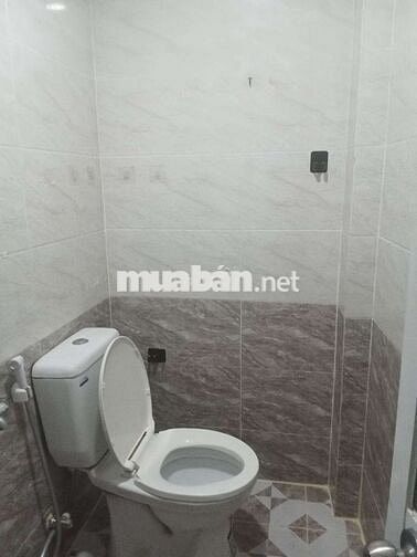 cho thuê nhà hẻm xe hơi đường Nguyên Hồng