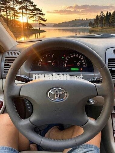 Toyota Camry 3.0V 2004 Vàng cát