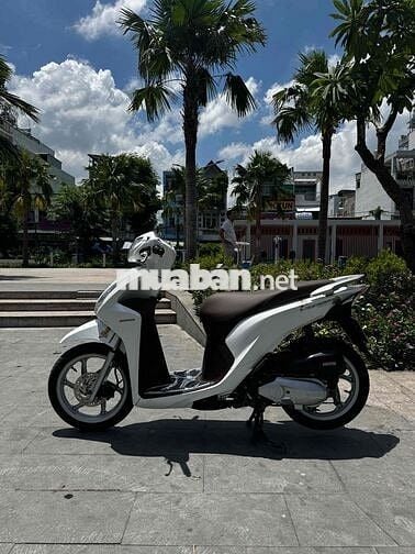 Cầm đồ thanh lý Honda Vision 2020 BS:47H1-65140