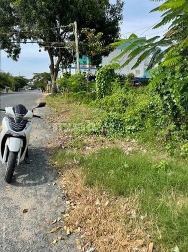 Bán nền mặt tiền đại lộ Lê Đại Cương, phường Núi Sam,TP Châu Đốc 