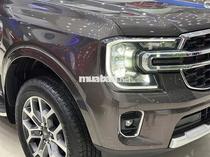 EVEREST TITANIUM VIN25 NEW 100% - GIẢM >100TR