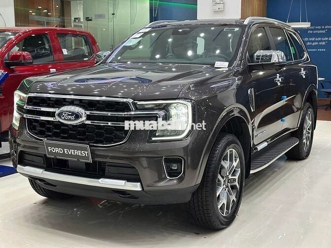 EVEREST TITANIUM VIN25 NEW 100% - GIẢM >100TR