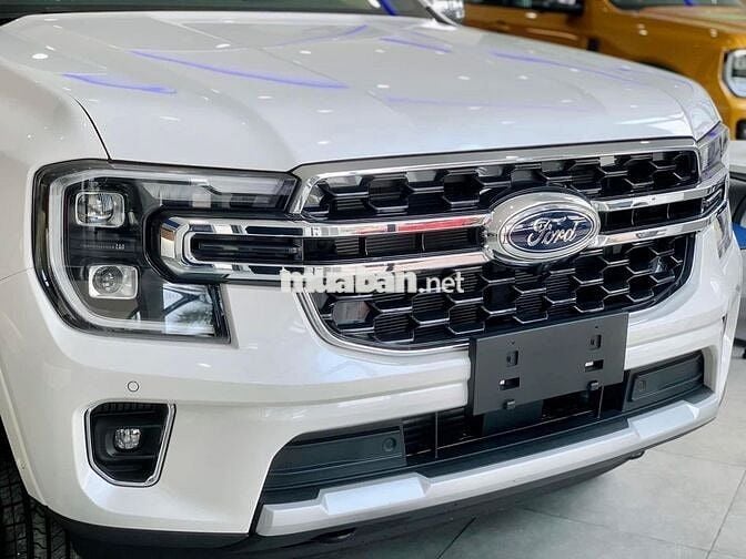 EVEREST TITANIUM VIN25 NEW 100% - GIẢM >100TR