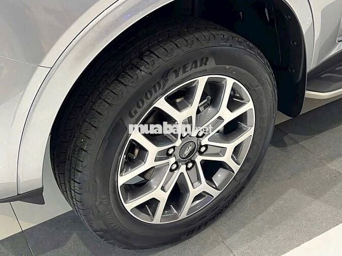 EVEREST TITANIUM VIN25 NEW 100% - GIẢM >100TR