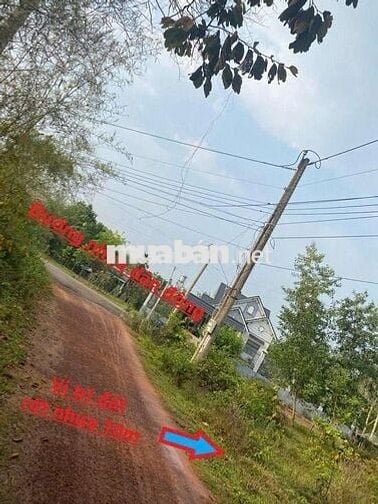 Bán 6x24 100tc giá rẻ cho ai đầu tư
