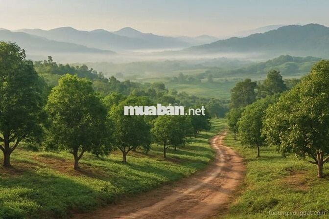 ĐẤT FARMSTAY NHÌN THUNG LŨNG TÀ ĐÙNG - 3.638M² - MẶT TIỀN 40M