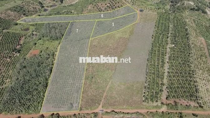 ĐẤT FARMSTAY NHÌN THUNG LŨNG TÀ ĐÙNG - 3.638M² - MẶT TIỀN 40M
