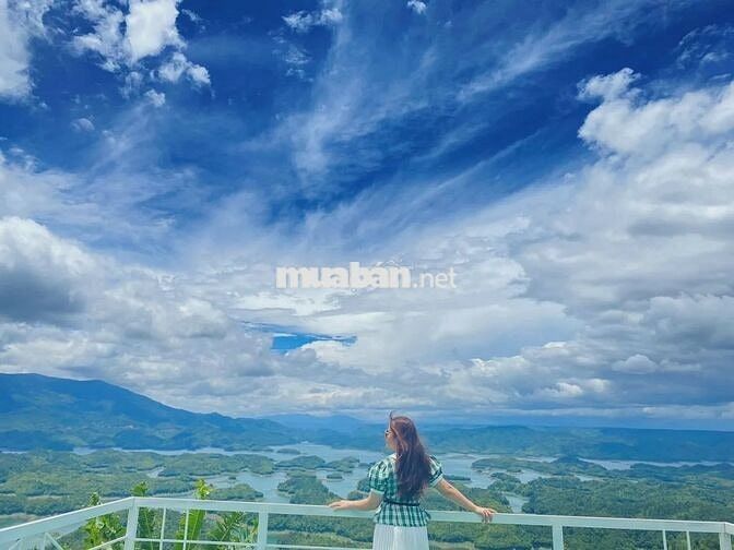 KHU ĐẤT FARMSTAY NHÌN THUNG LŨNG TÀ ĐÙNG - HƠN 11.500M² - 2 SỔ HỒNG