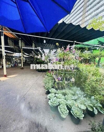 cho thuê mặt bằng mặt tiền Nguyễn Văn Linh 10x35