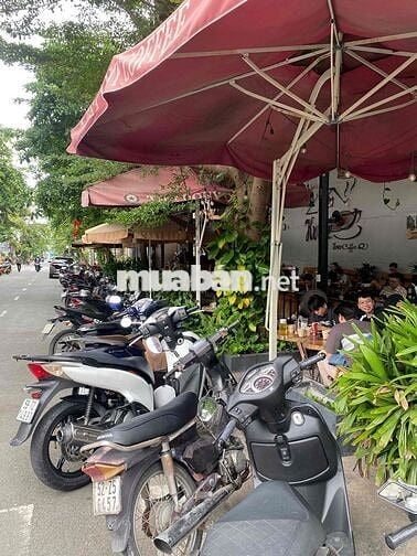 Home Coffee Tuyển dụng Homie