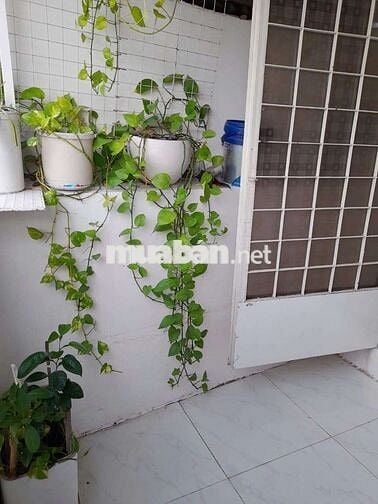 cho thuê nhà nguyên căn 3x5 2pn 1wc 2 lầu giá 4,5tr