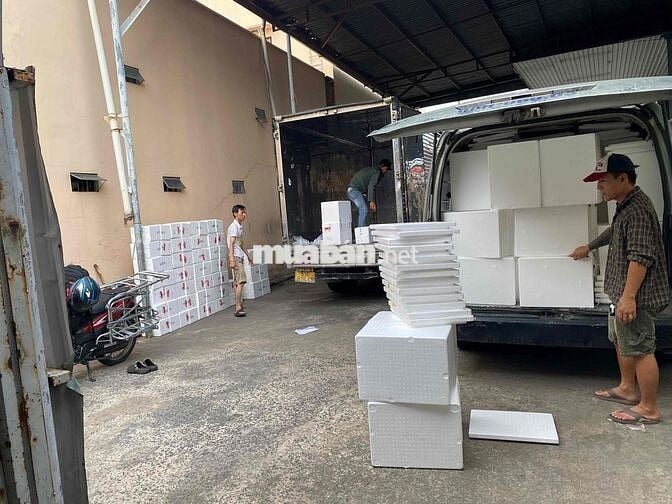 tuyển 2 Nam Làm Kho Mút Xốp - Dĩ An