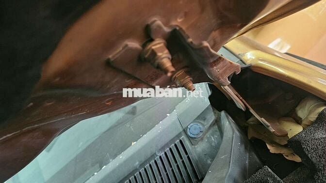 Ford Wildtrak 2018 2.0 Bi-turbo Tự động Vàng đồng