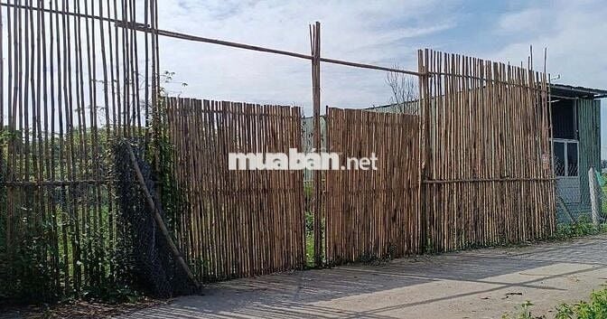 Đất hẻm ô tô thông, khu dân cư hiện hữu Bình Mỹ, Củ Chi.