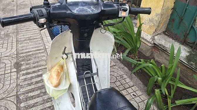 Honda Dream Exces Đen, Trắng