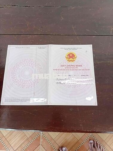 Bán nhà đất mặt tiền đường – 879m² – Ngang 23m – Có sẵn nhà