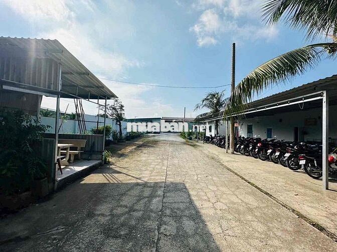 cho thuê kho xưởng 1000m2 gần vinhomes hóc môn