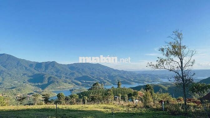 ĐẤT FARM GẦN 8.000M² NHÌN THUNG LŨNG TÀ ĐÙNG - MẶT TIỀN 42,5M