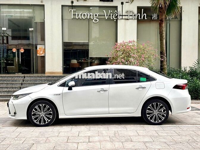 Toyota Altis 1.8 HEV 2022 Trắng Tự động