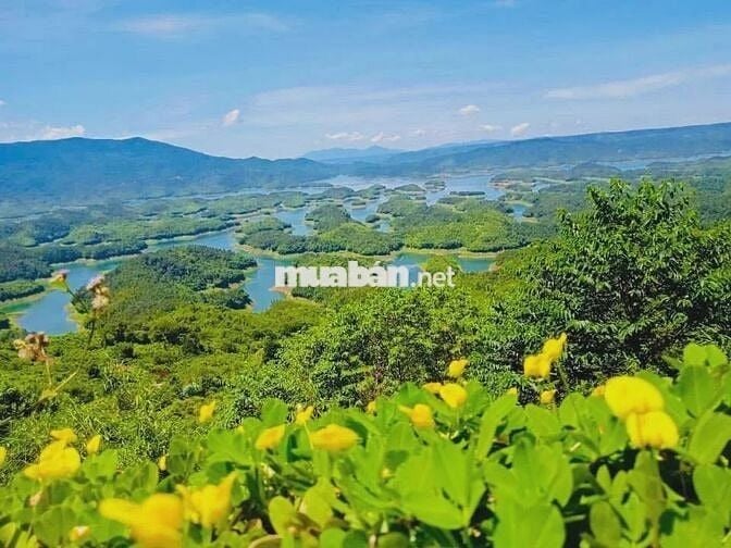 ĐẤT FARMSTAY 12.000M² NHÌN THUNG LŨNG TÀ ĐÙNG - MẶT TIỀN 47,5M