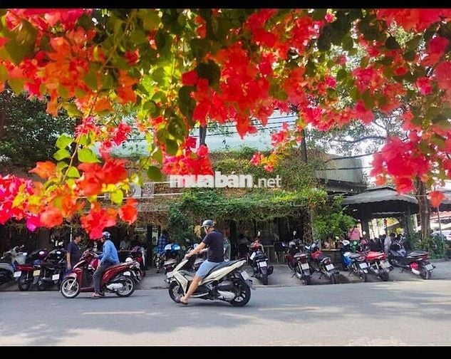 tìm đồng đội pha chế và phục vụ