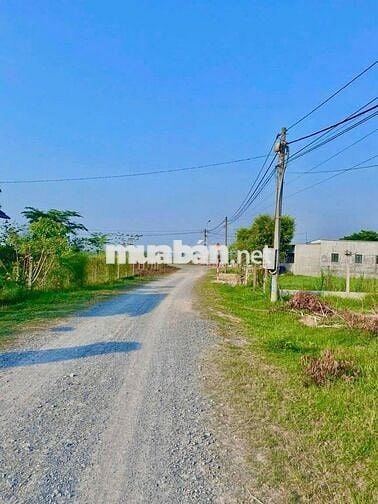 Cần bán nhanh lô đất vườn 1140m2 giá 1 tỷ 320tr ở Củ Chi TP HCM