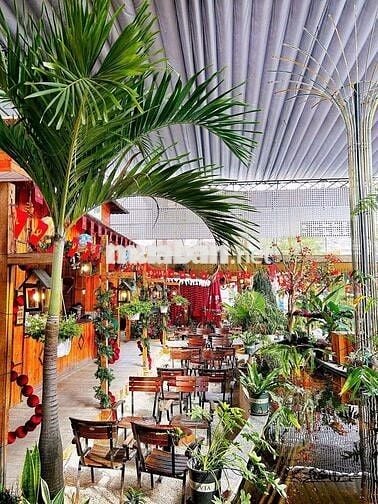 Cho Thuê Nhà Mặt Tiền Nguyễn Văn Quá, Q12
