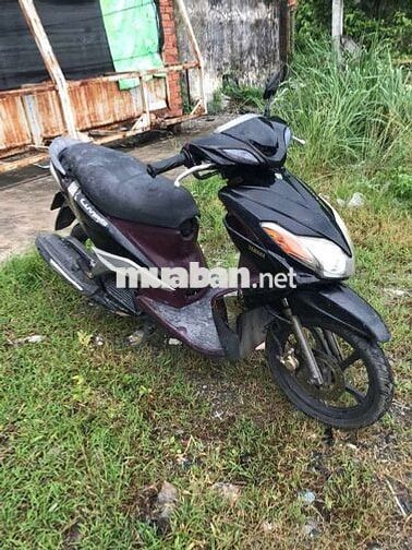 Yamaha Luvias Đen, Tím Đã sử dụng