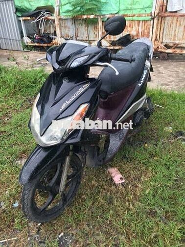 Yamaha Luvias Đen, Tím Đã sử dụng