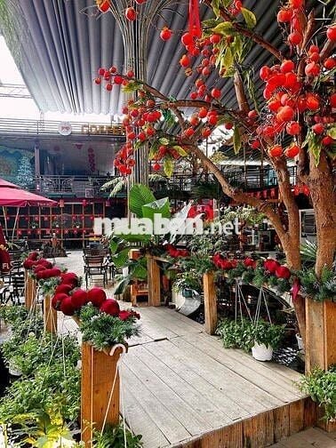 Cho Thuê Nhà Mặt Tiền Nguyễn Văn Quá, Q12