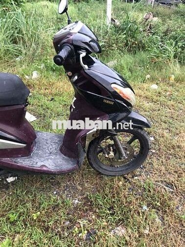 Yamaha Luvias Đen, Tím Đã sử dụng