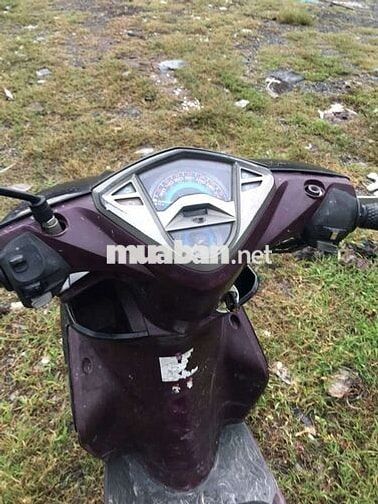 Yamaha Luvias Đen, Tím Đã sử dụng
