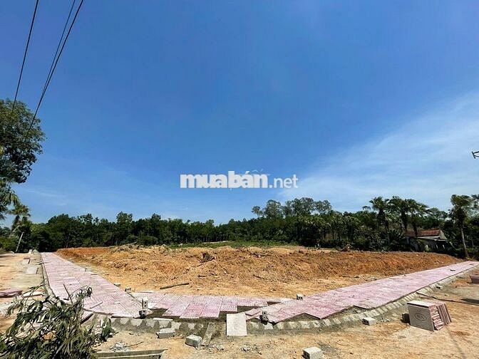 Chính chủ bán đất 112,3m² Hợp Tiến – Mặt tiền 5m – Đường 8m