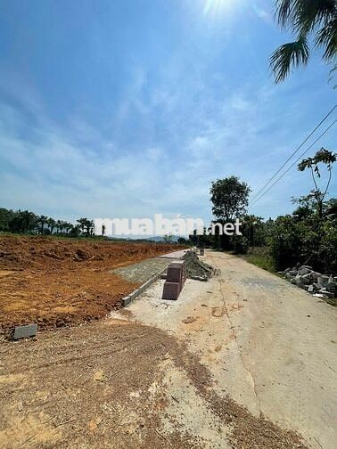 Chính chủ bán đất 112,3m² Hợp Tiến – Mặt tiền 5m – Đường 8m