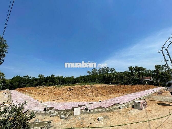 Chính chủ bán đất 112,3m² Hợp Tiến – Mặt tiền 5m – Đường 8m