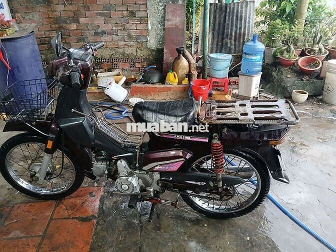 Honda Dream Nâu