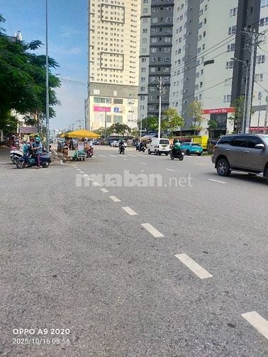 🌹 Nhà mặt tiền Tạ Q Bửu, Q8, 16,5x35m, 568m2, sổ hồng riêng.