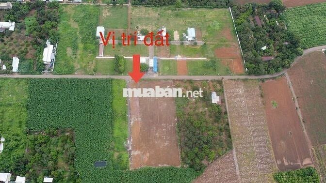 Đất Đông Hòa Hưng Thịnh lô 2 mặt tiền 12m Giá Chỉ 1T350