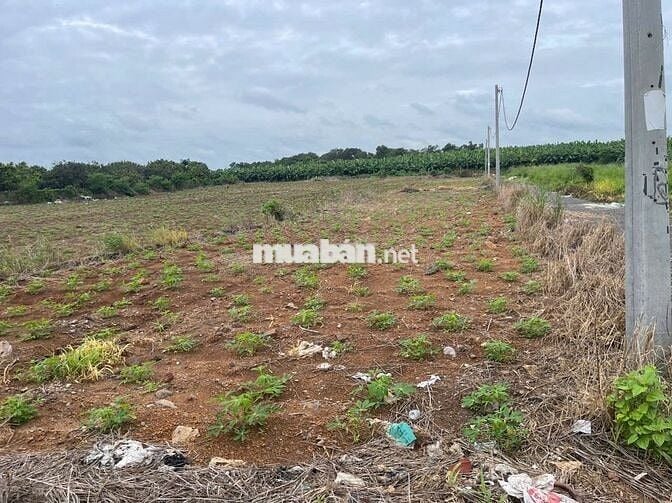 Đất Đông Hòa Hưng Thịnh lô 2 mặt tiền 12m Giá Chỉ 1T350