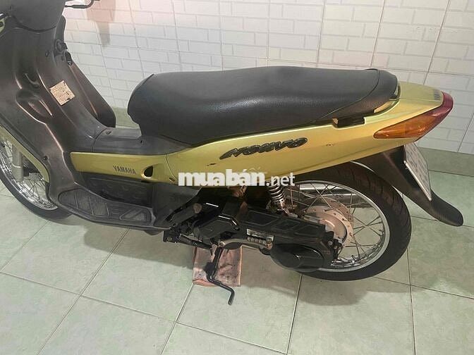 Yamaha Nouvo 1 Vàng