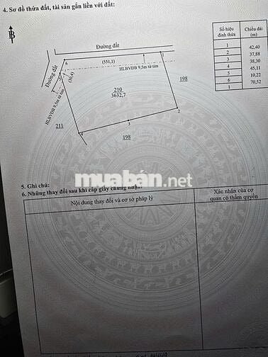 CẦN BÁN GẤP MIẾNG CAO SU ĐANG CẠO. LIÊN HỆ NGAY