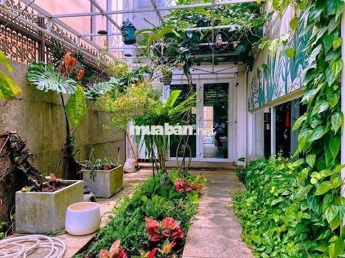 BIỆT THỰ SÂN VƯỜN KHU F&B PHAN XÍCH LONG- HOA MAI PHÚ NHUẬN,900m2
