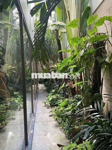 BIỆT THỰ SÂN VƯỜN KHU F&B PHAN XÍCH LONG- HOA MAI PHÚ NHUẬN,900m2