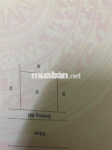 Bán đất gấp giá rẻ ở Đức Hoà Long An